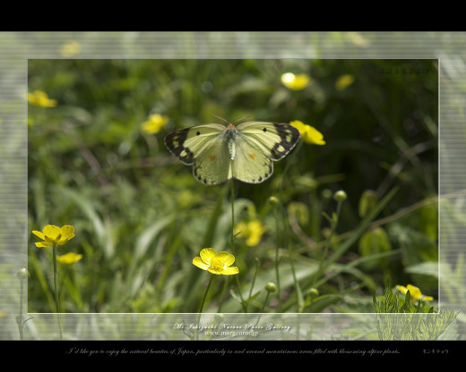 360670 (a): :1280x1024